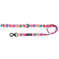 DOG LEASH: Beary Sweet