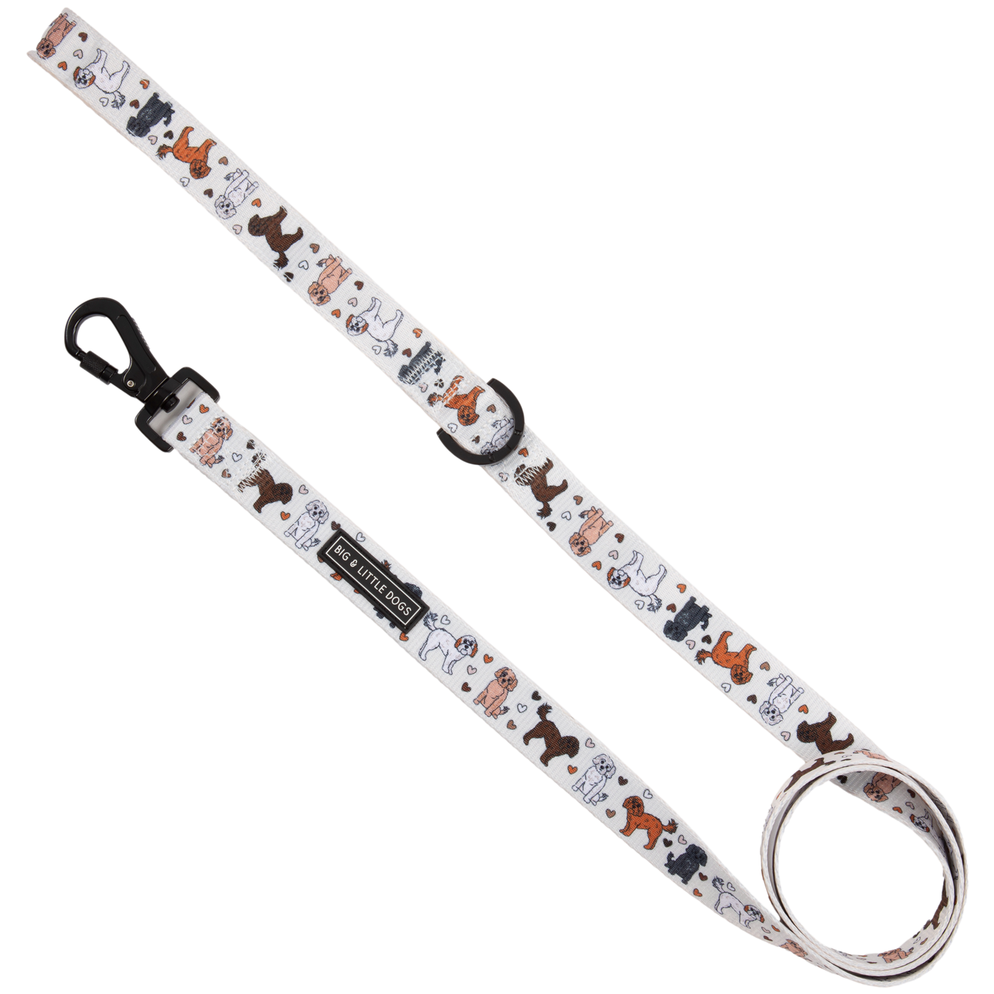 DOG LEASH: Oodles of Love