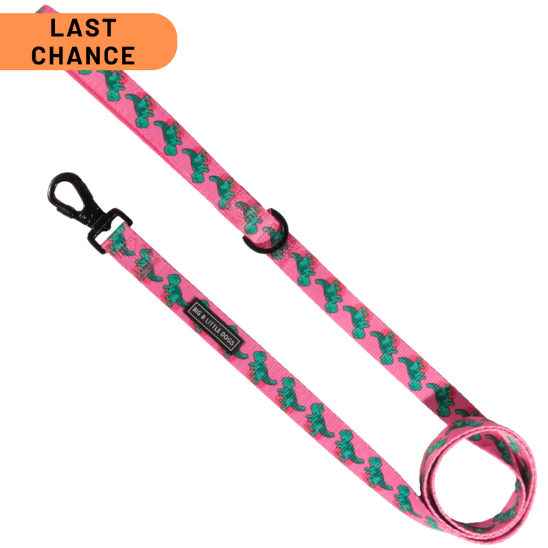 DOG LEASH: Princess-asaurus {FINAL SALE}