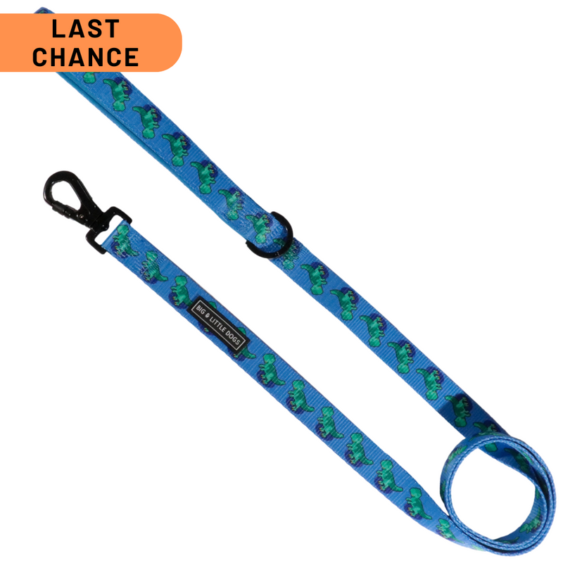 DOG LEASH: Rawr {FINAL SALE}