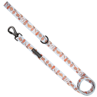 DOG LEASH: Rodeo King