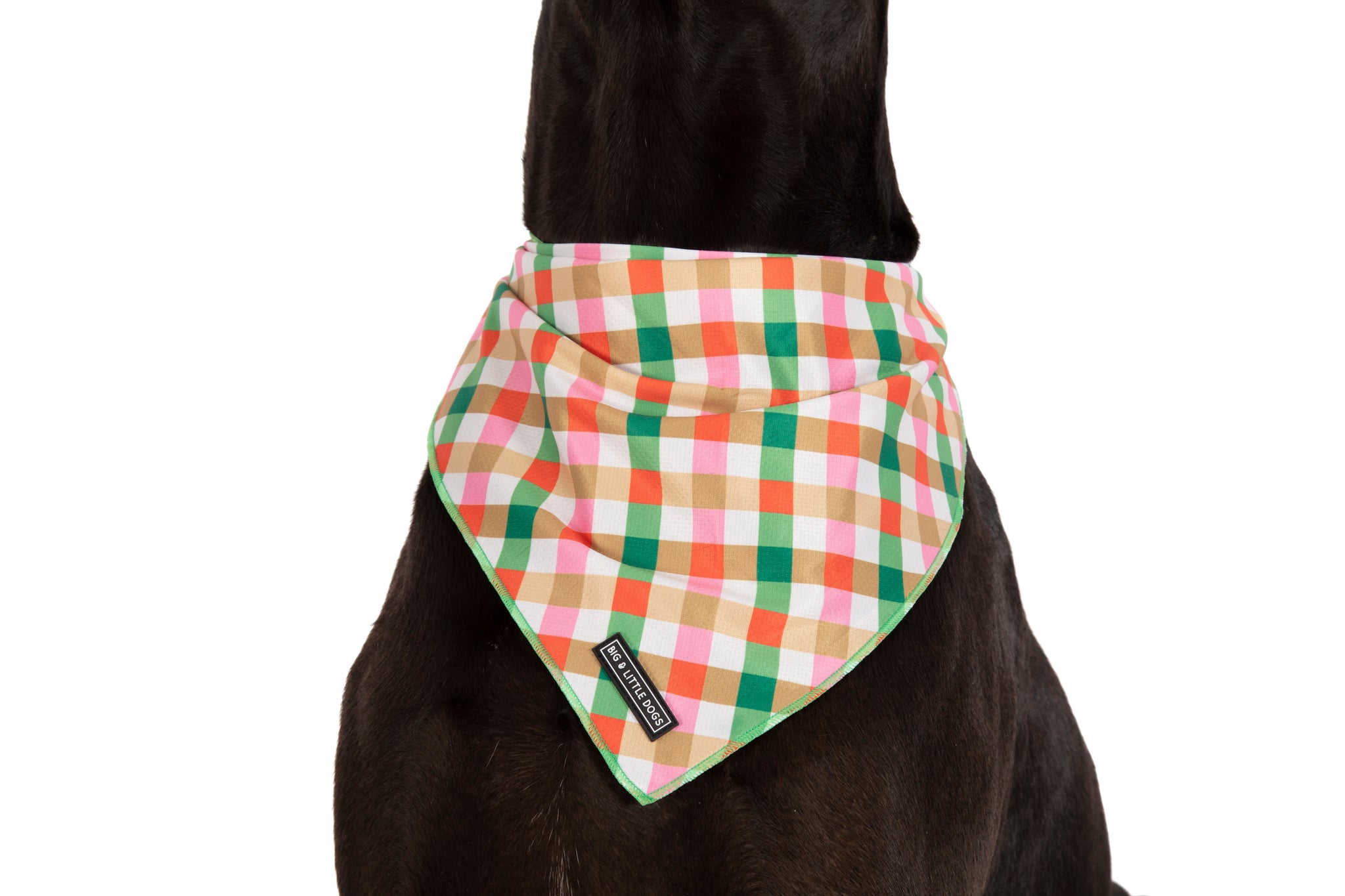 DOG BANDANA: Candy Lane Plaid
