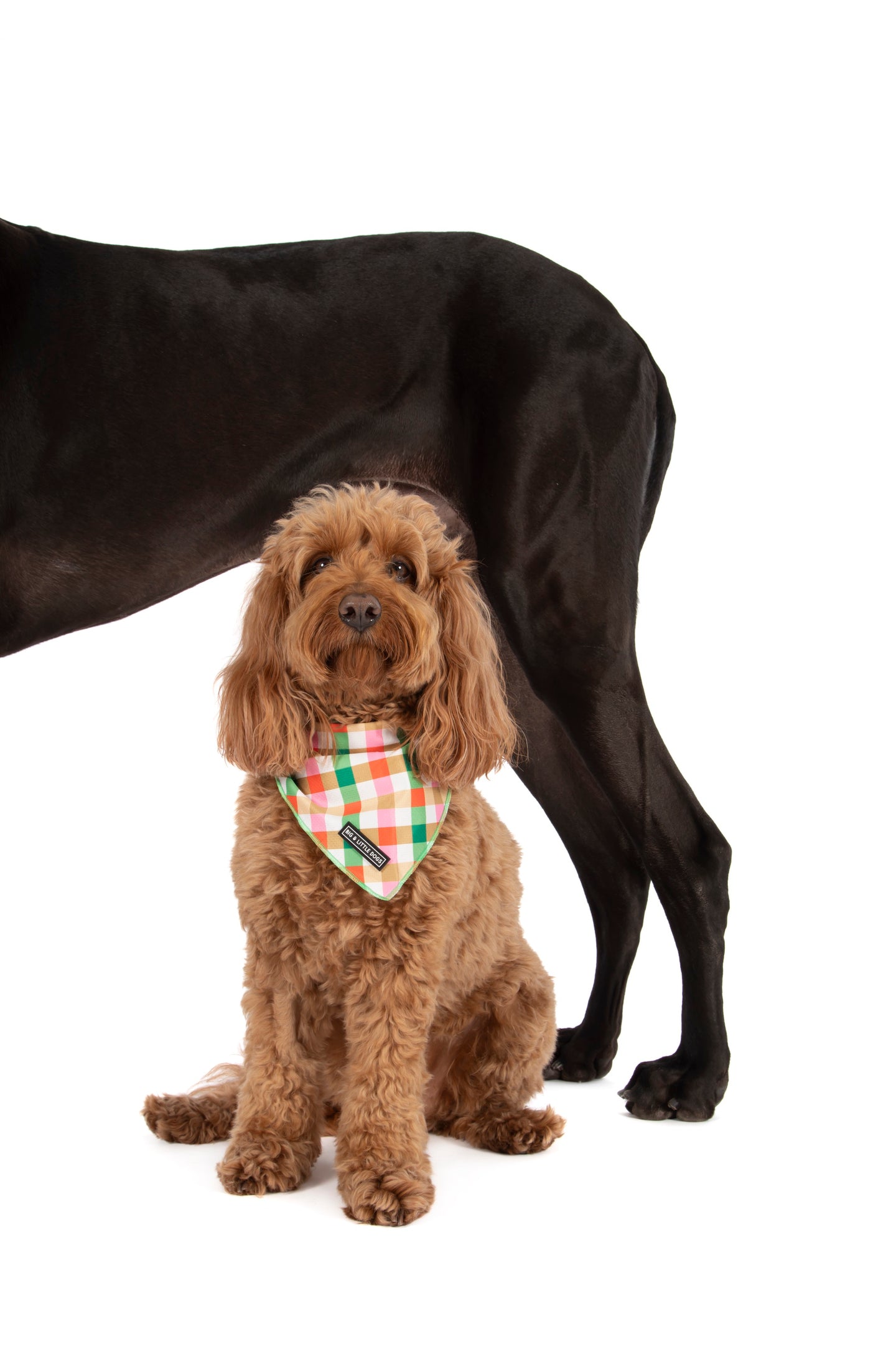 DOG BANDANA: Candy Lane Plaid