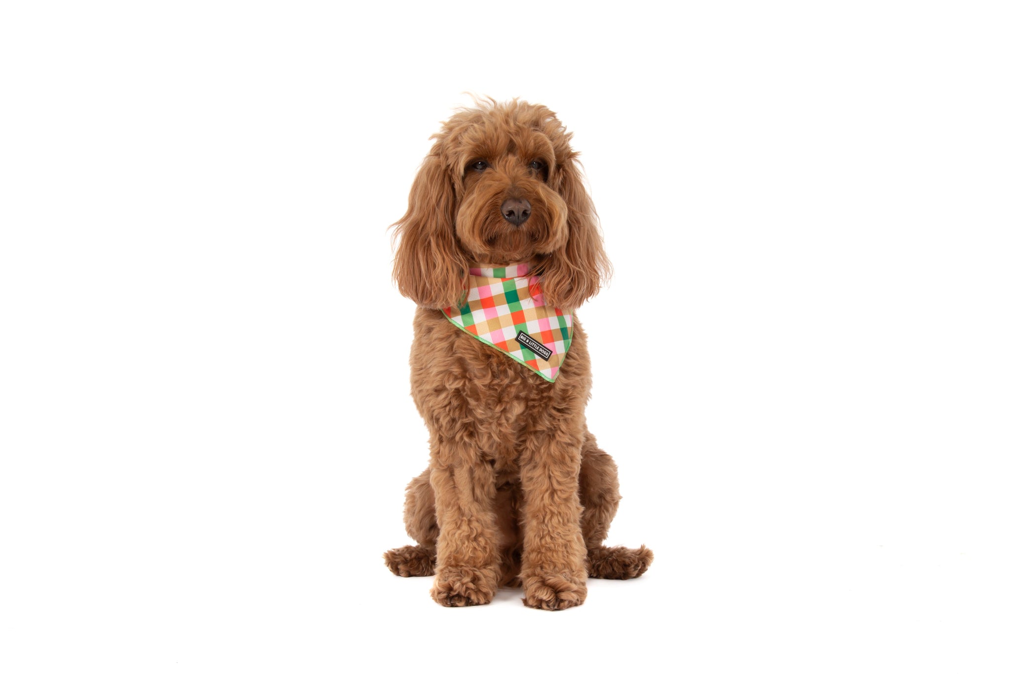 DOG BANDANA: Candy Lane Plaid