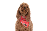 DOG BANDANA: Cherrylicious