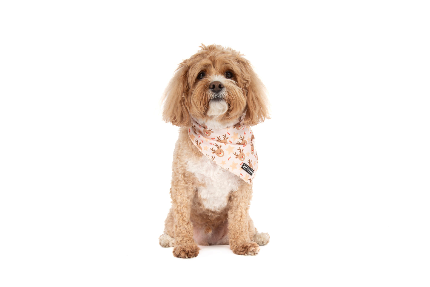 DOG BANDANA: Dashing Through The Stars