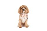 DOG BANDANA: Dashing Through The Stars
