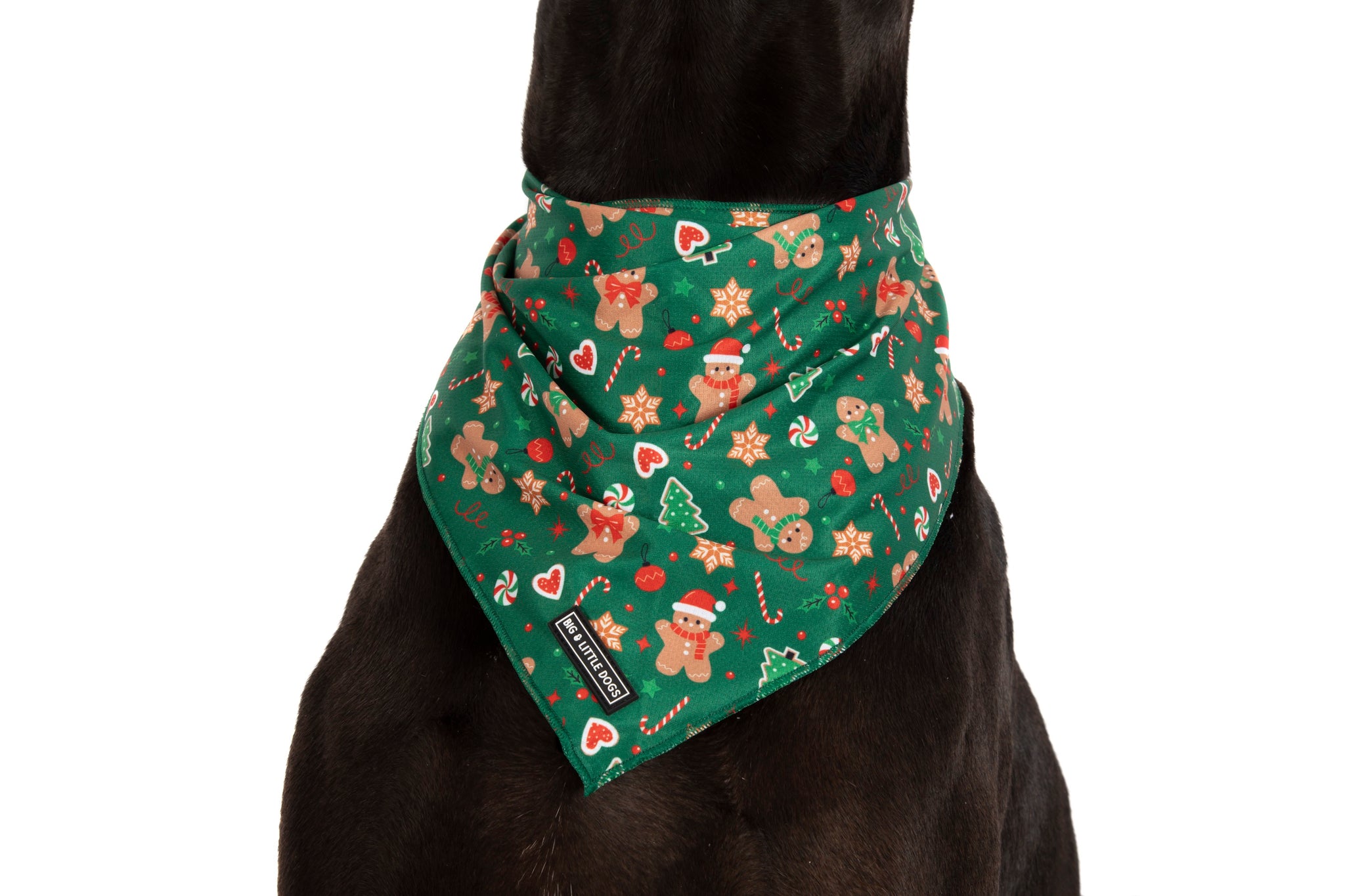 DOG BANDANA: Gingerbread Cutie