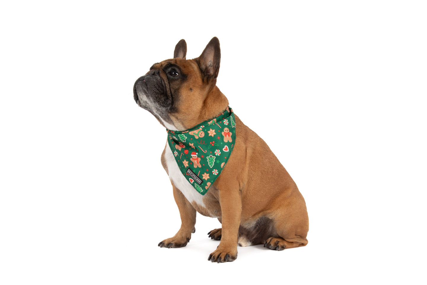 DOG BANDANA: Gingerbread Cutie