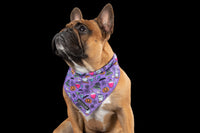 DOG BANDANA: Haunted Hound {FINAL SALE}