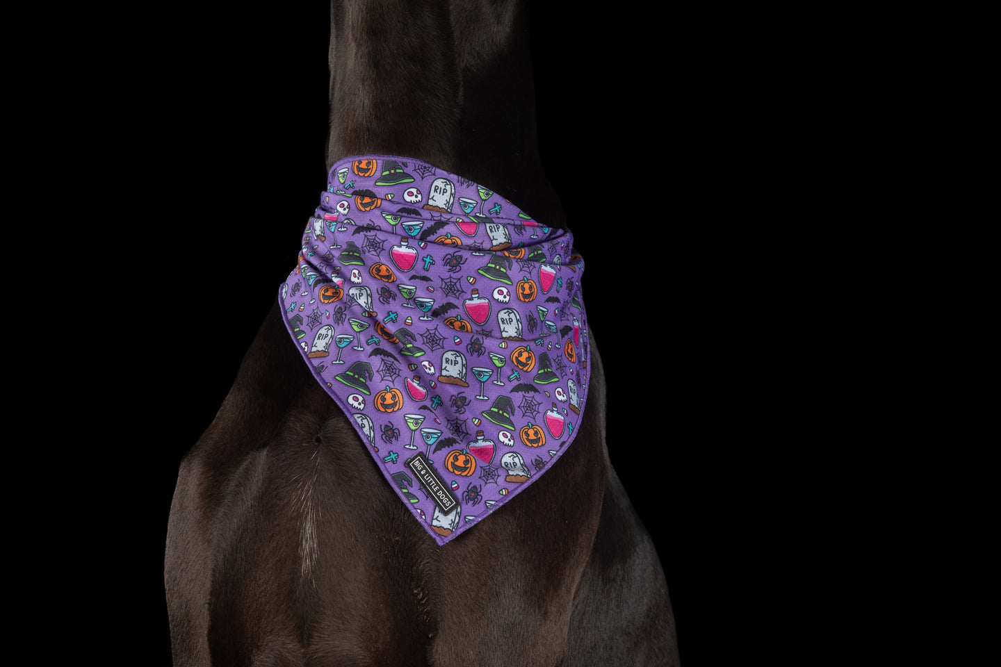 DOG BANDANA: Haunted Hound {FINAL SALE}