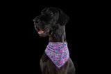 DOG BANDANA: Haunted Hound {FINAL SALE}