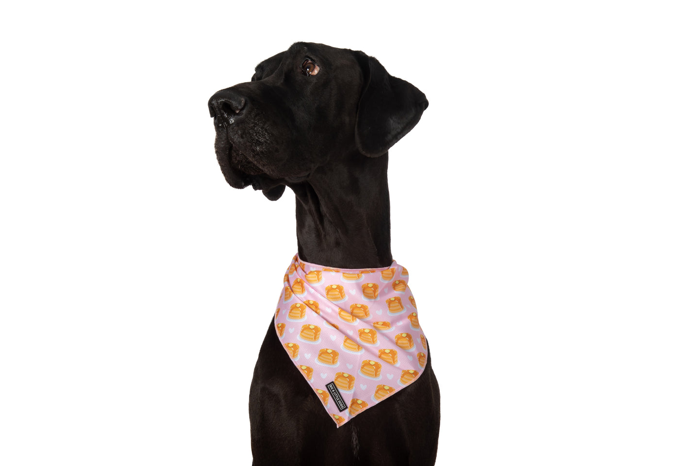 DOG BANDANA: I Flippin' Love You {FINAL SALE}