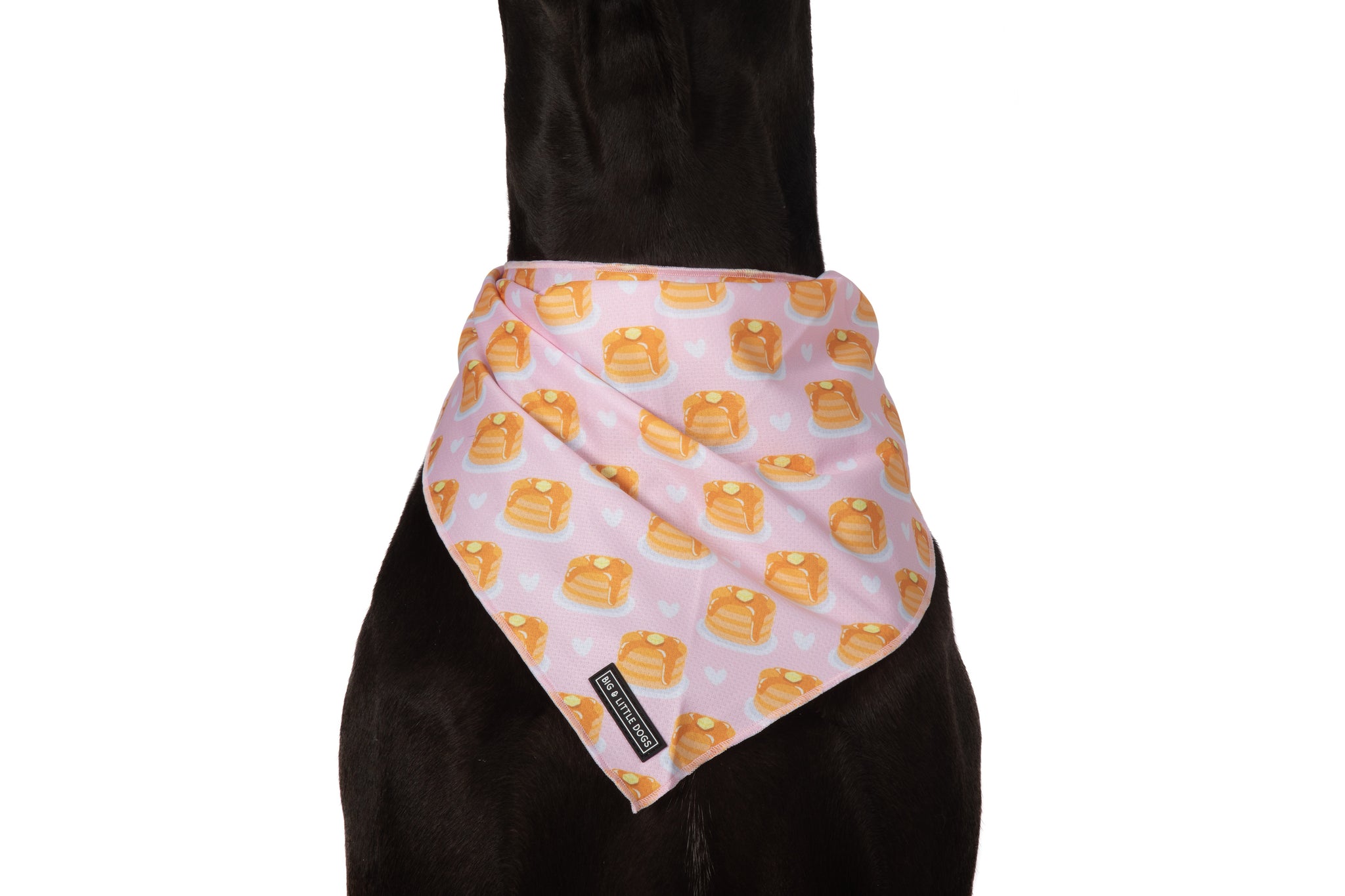 DOG BANDANA: I Flippin' Love You {FINAL SALE}