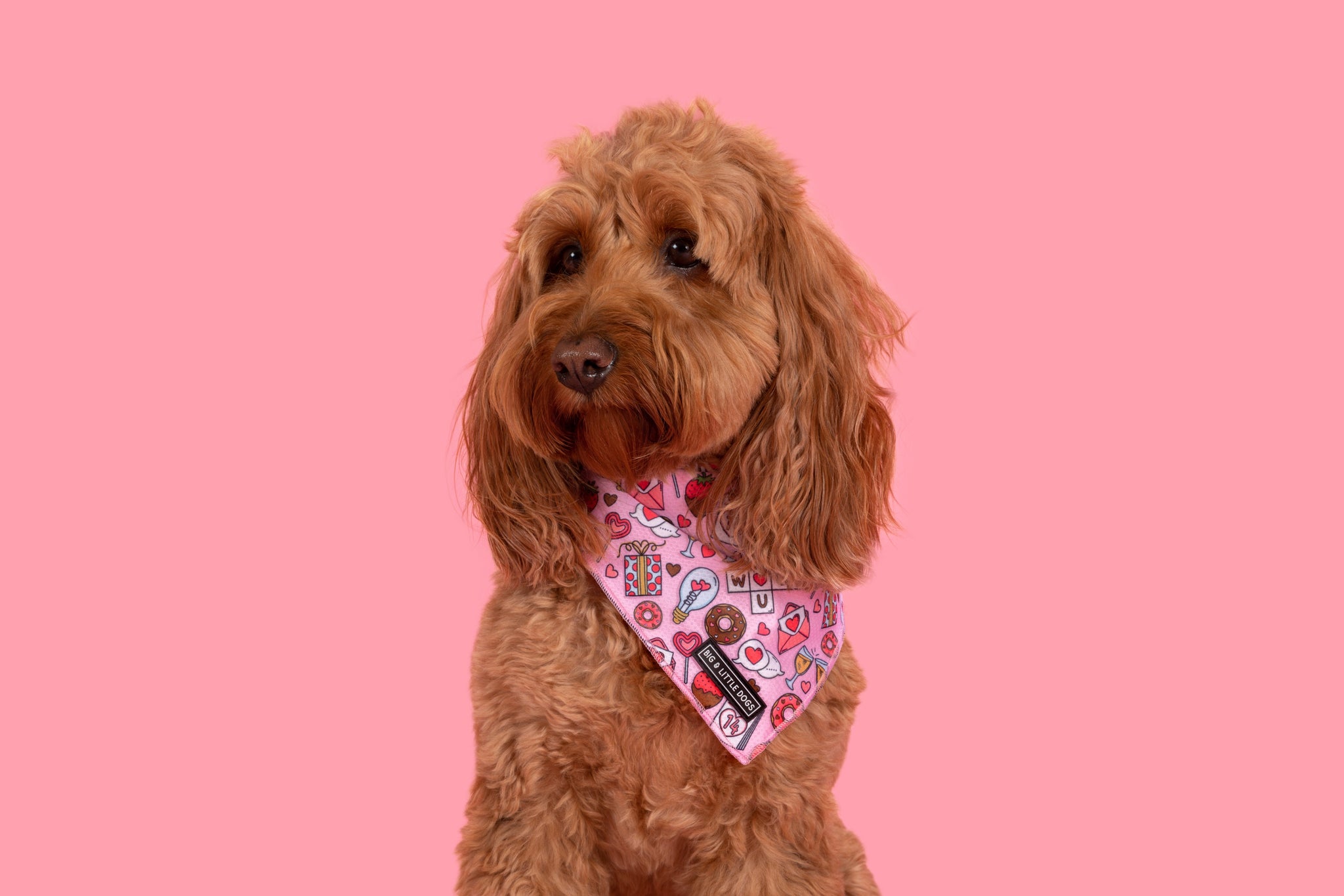 DOG BANDANA: I Woof You {FINAL SALE}