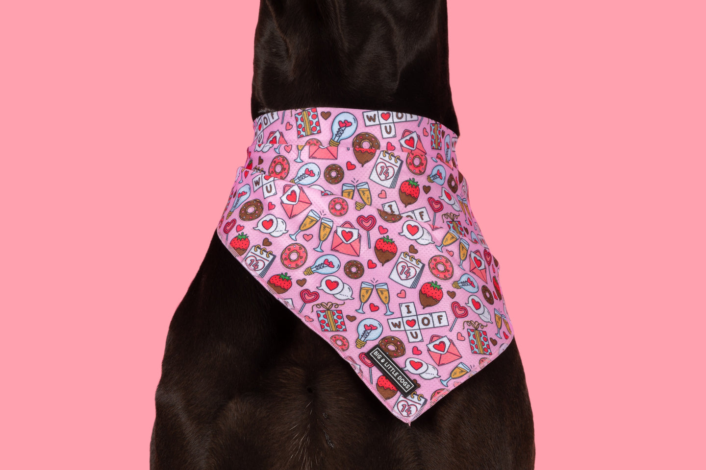 DOG BANDANA: I Woof You {FINAL SALE}