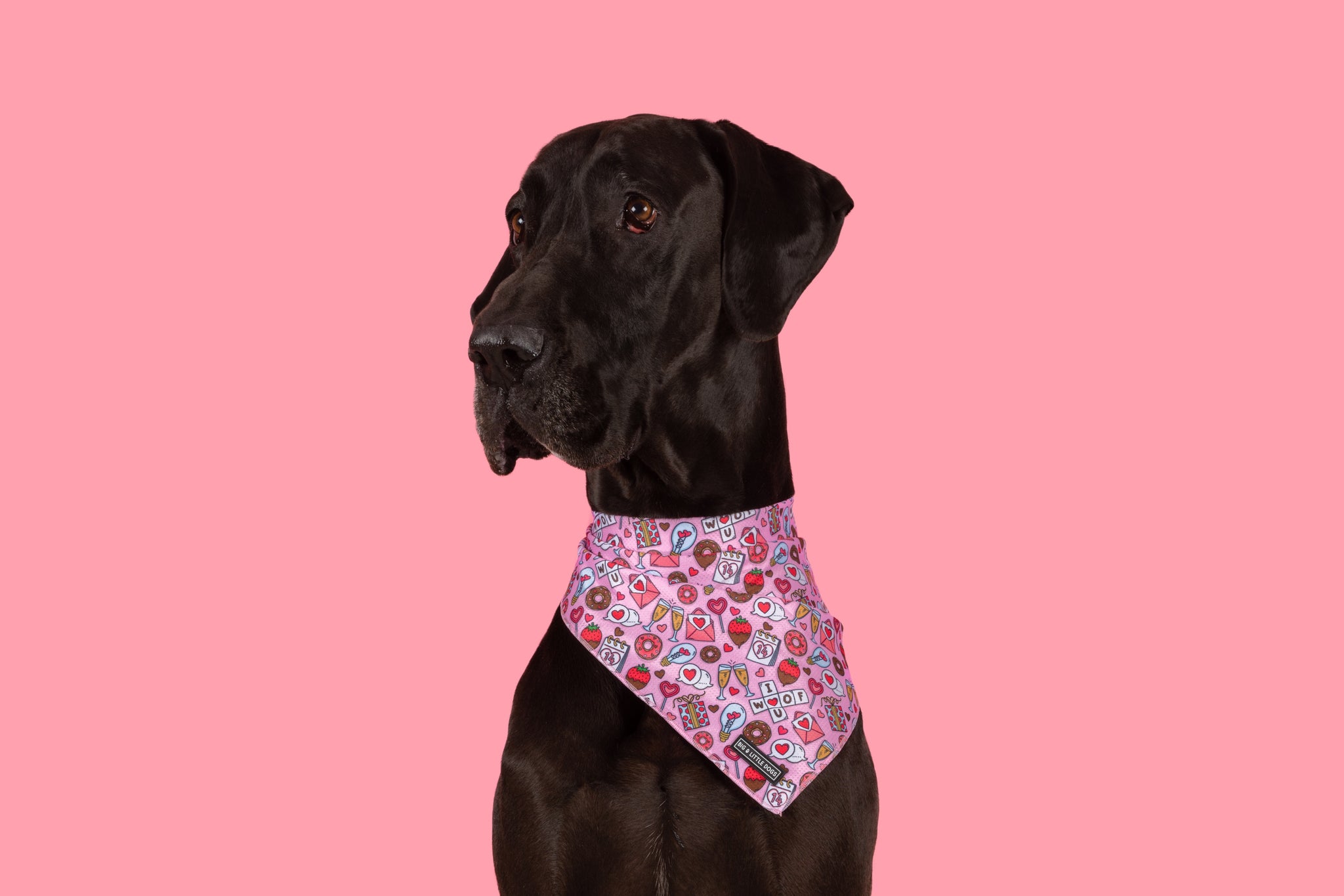 DOG BANDANA: I Woof You {FINAL SALE}