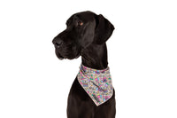 DOG BANDANA: It's My Bark Day