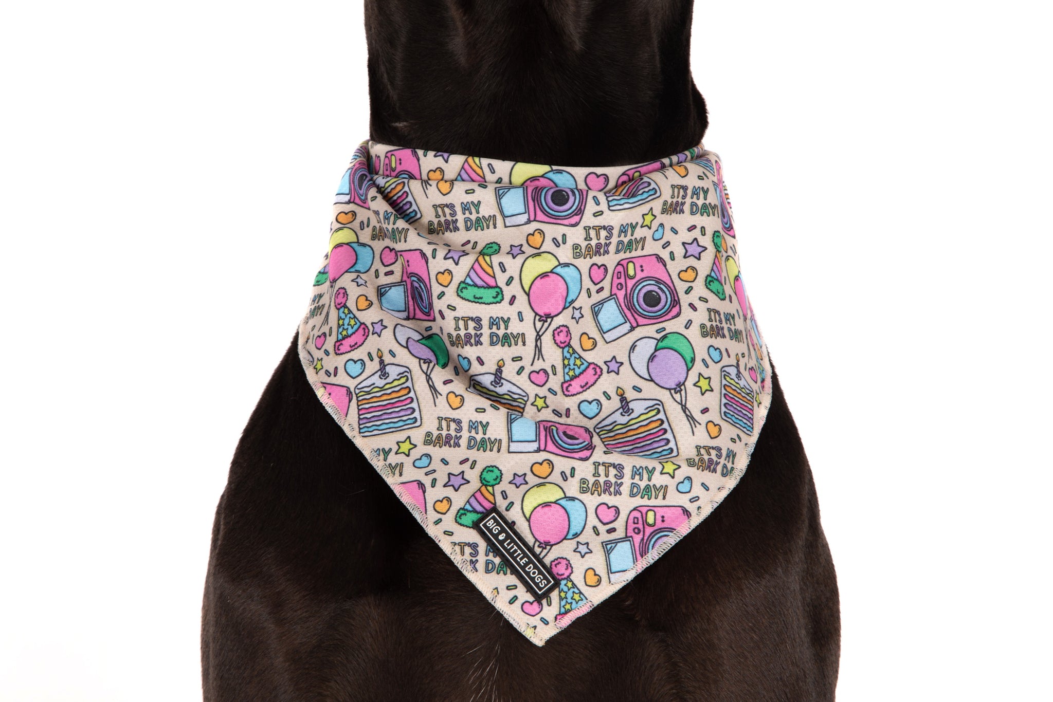 DOG BANDANA: It's My Bark Day