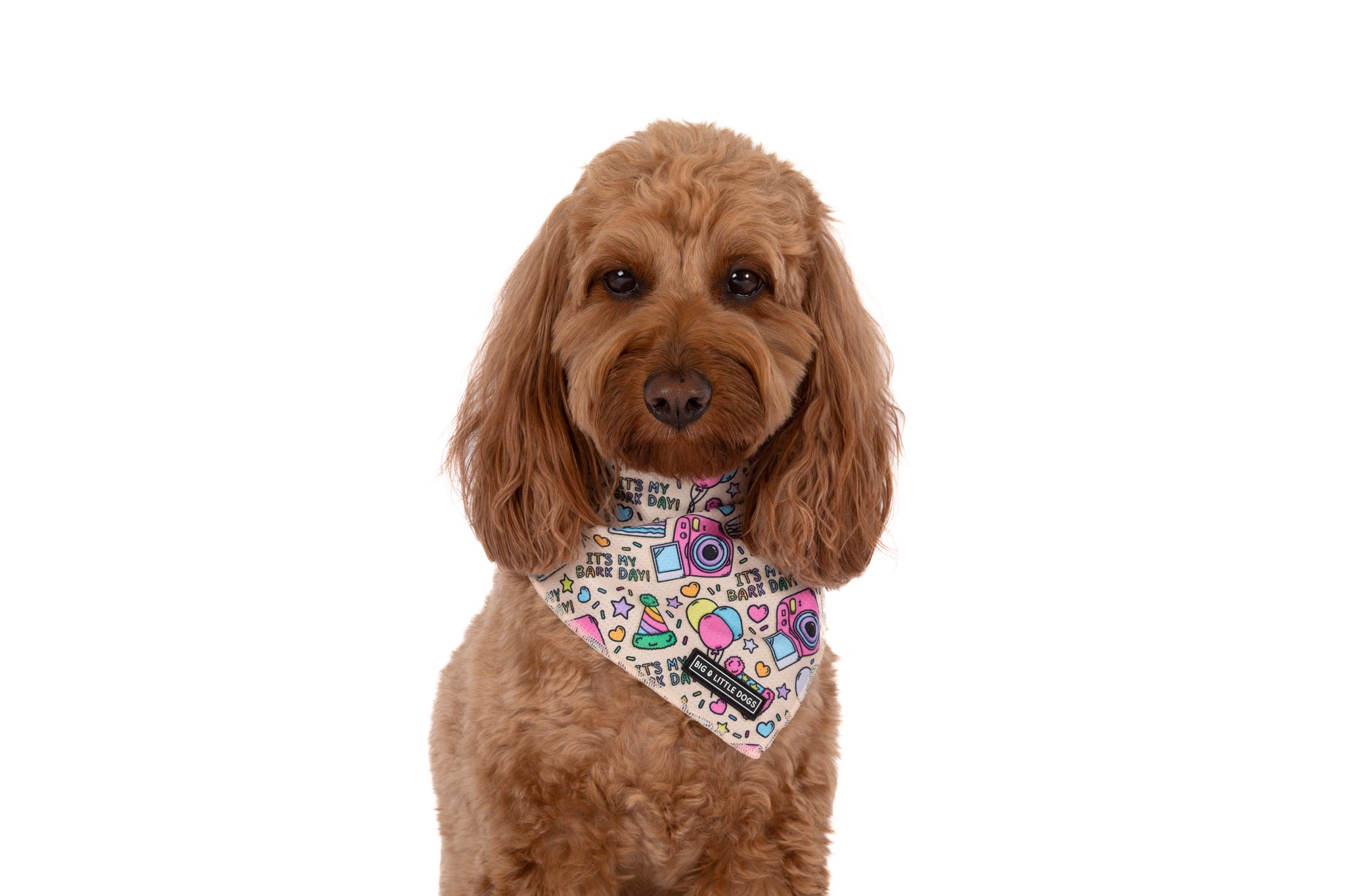 DOG BANDANA: It's My Bark Day