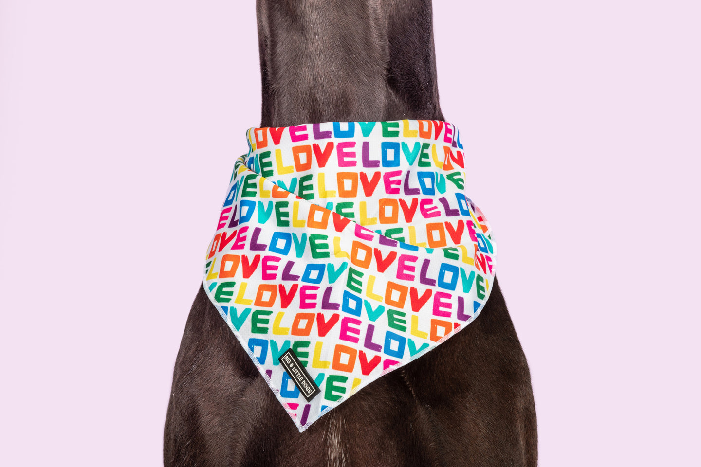 DOG BANDANA: Love Wins {FINAL SALE}