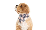 DOG BANDANA: Nova Plaid