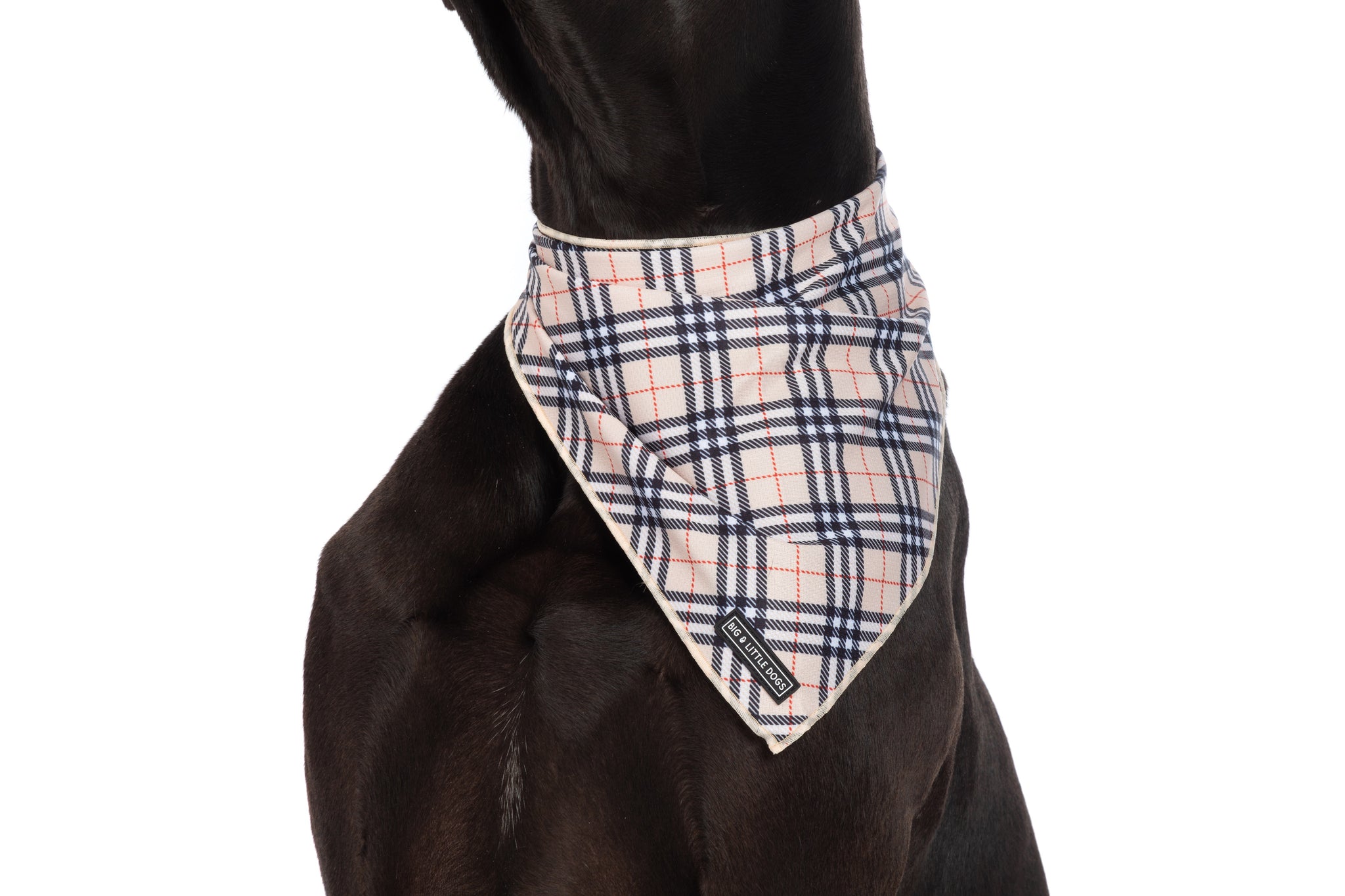 DOG BANDANA: Nova Plaid