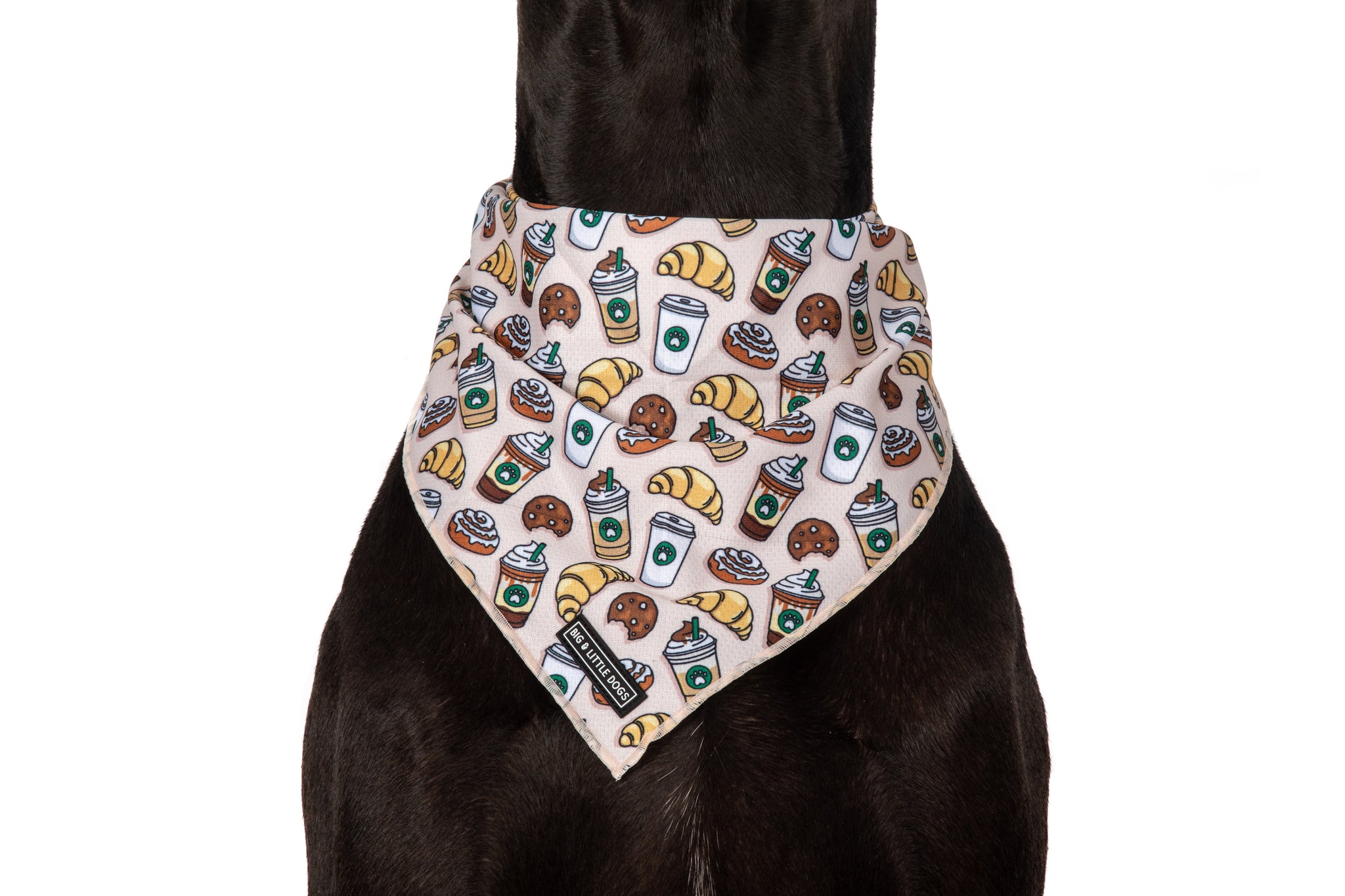 DOG BANDANA: Pupper Cup