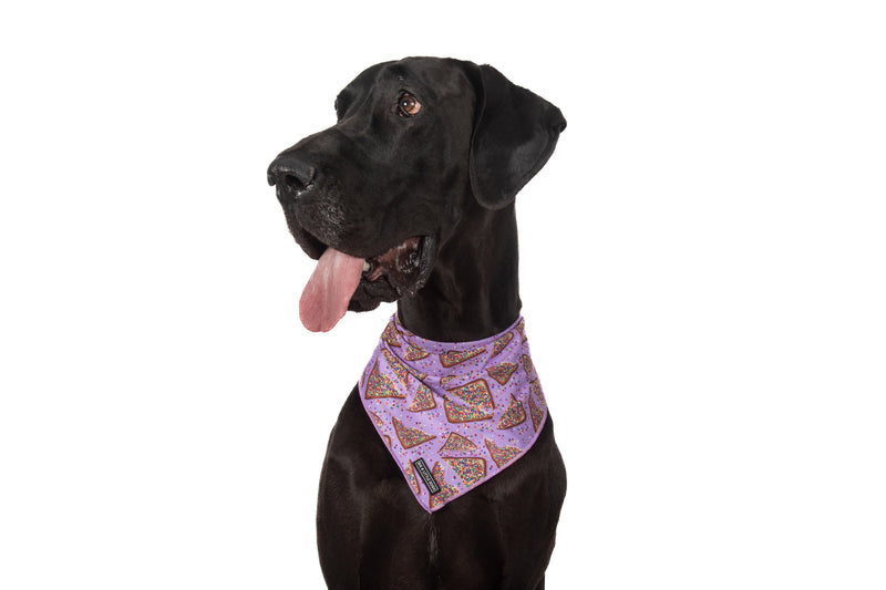 DOG BANDANA: Purple Fairy Bread