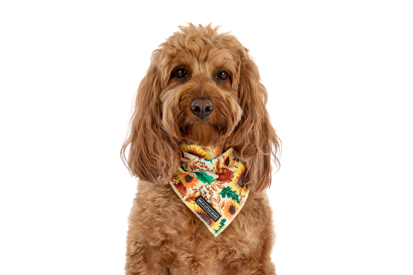 DOG BANDANA: Winter Blooms