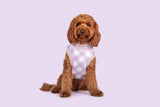 Dog Fleece Pyjamas PJs Berry Purple Gingham