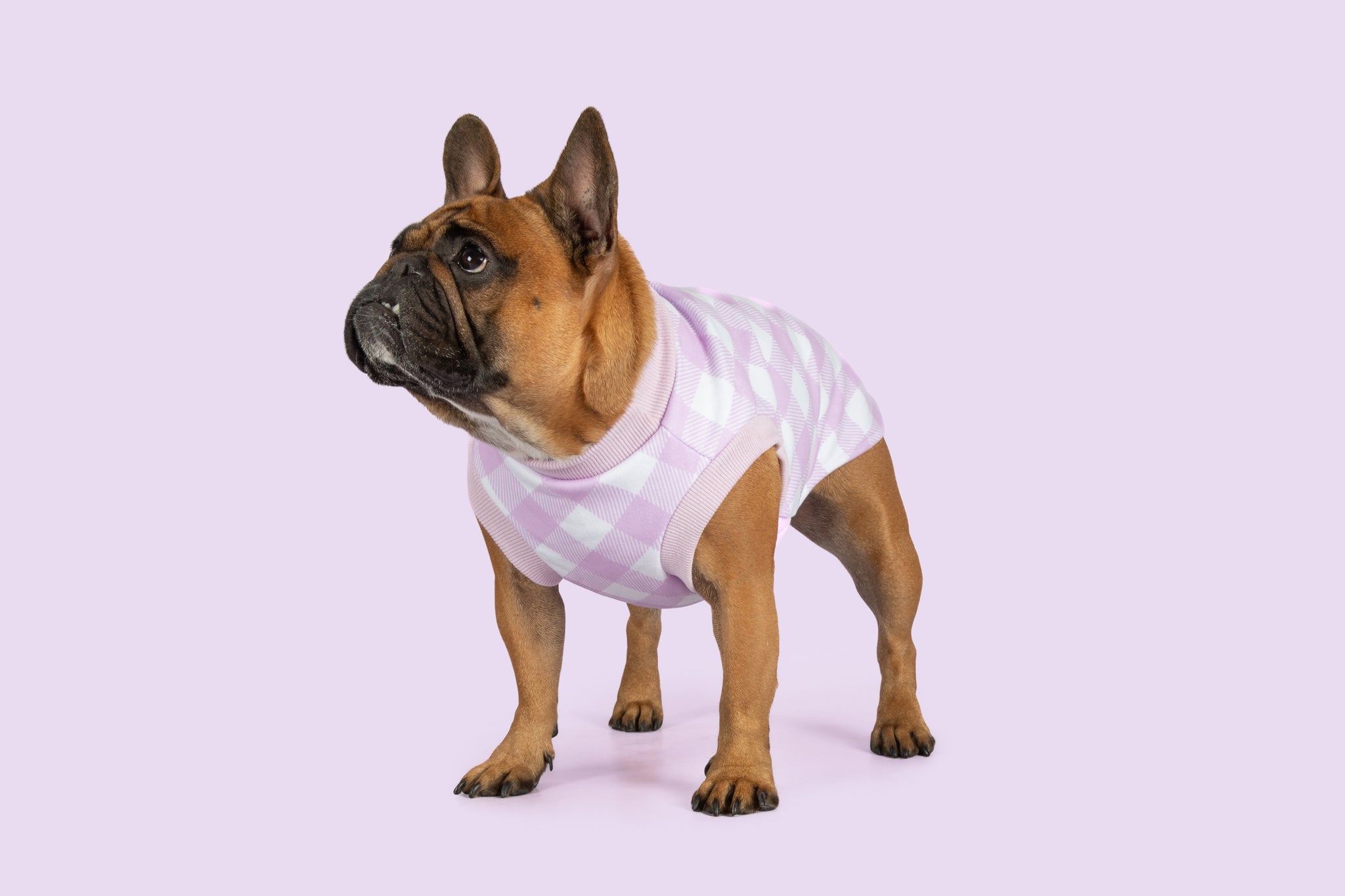 Dog Fleece Pyjamas PJs Berry Purple Gingham