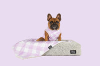 Dog Fleece Pyjamas PJs Berry Purple Gingham