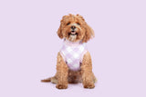 Dog Fleece Pyjamas PJs Berry Purple Gingham