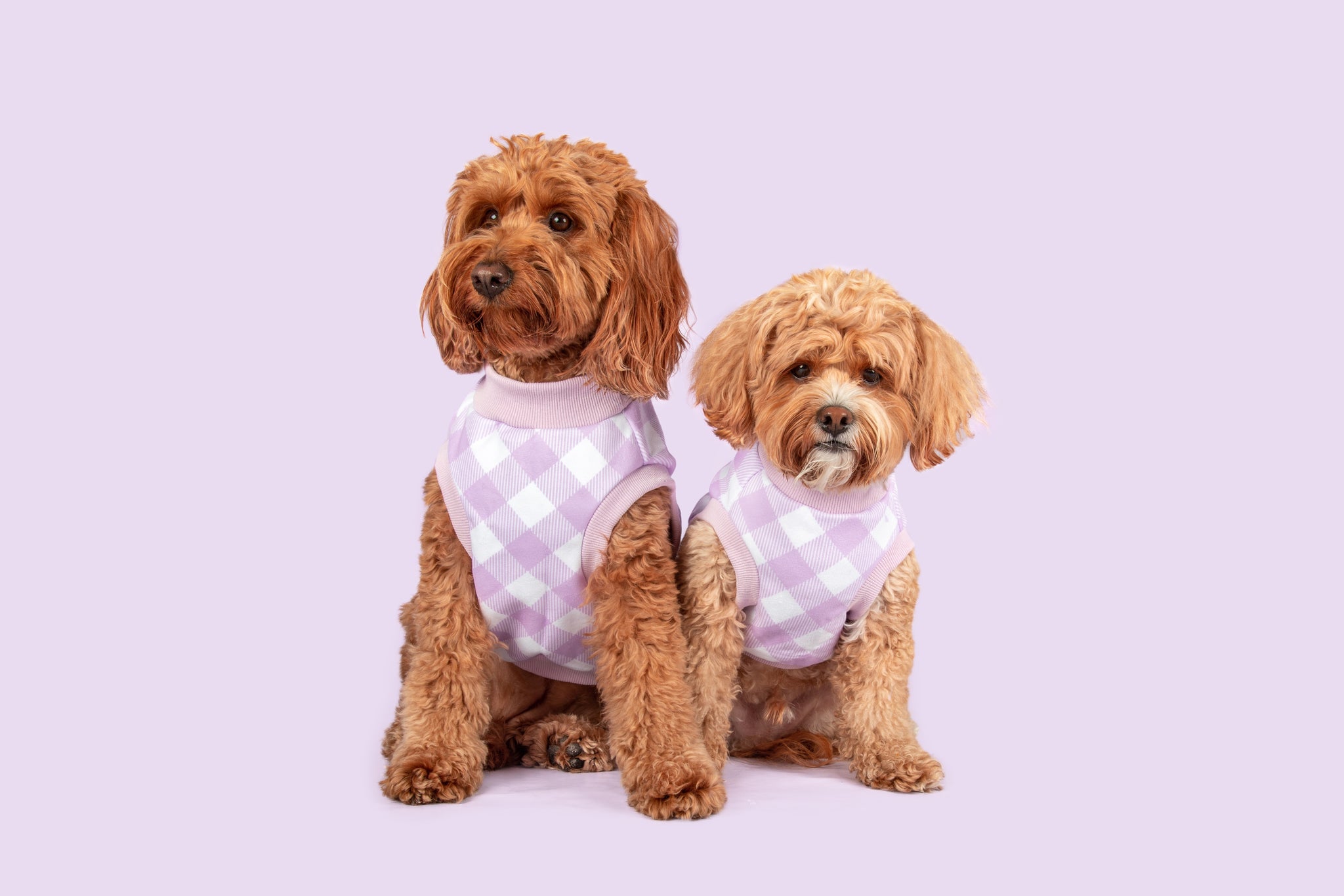 Dog Fleece Pyjamas PJs Berry Purple Gingham