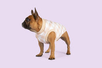 Dog Fleece Pyjamas PJs Latte Beige Brown Gingham