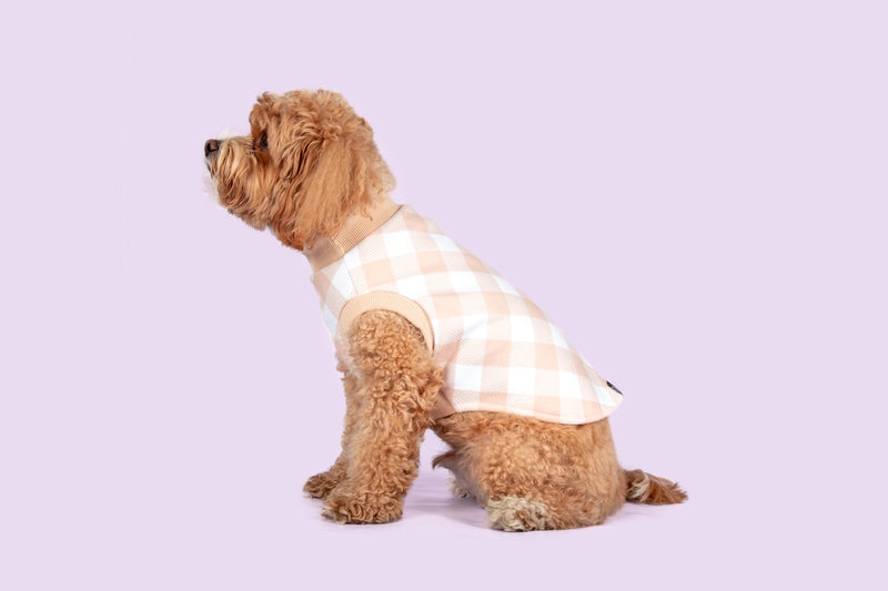 Dog Fleece Pyjamas PJs Latte Beige Brown Gingham