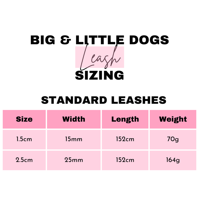 DOG LEASH: Haunted Hound (NEW!)
