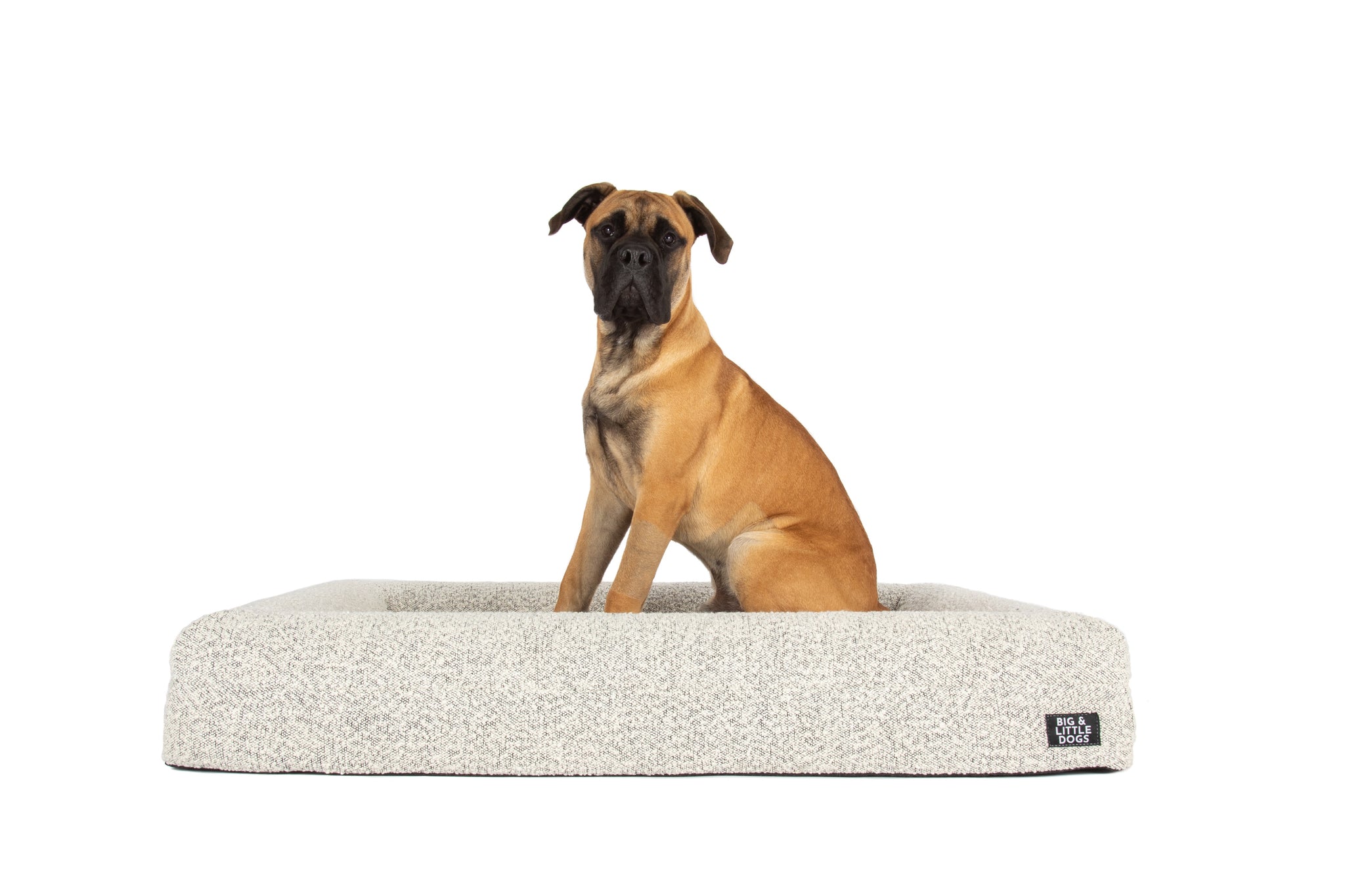 Dog Pet Bed Luxurious Boucle Cover Salt and Pepper