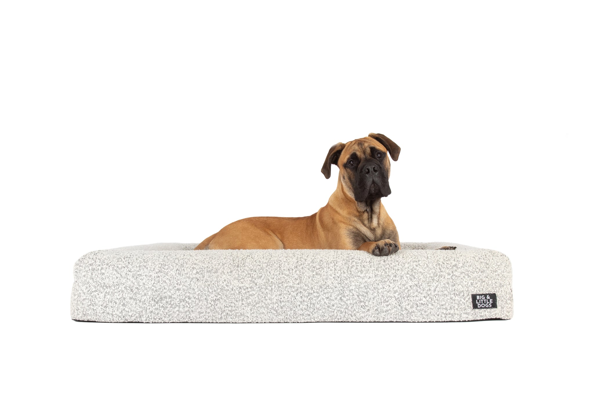 Dog Pet Bed Luxurious Boucle Cover Salt and Pepper