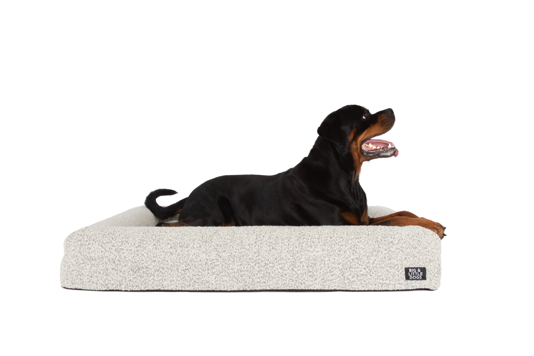 Dog Pet Bed Luxurious Boucle Cover Salt and Pepper