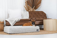 Dog Pet Bed Luxurious Boucle Cover Salt and Pepper