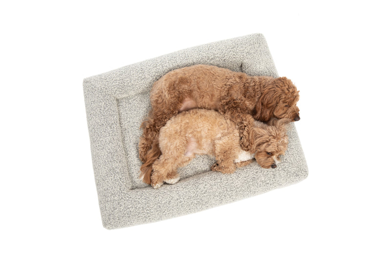 Dog Pet Bed Luxurious Boucle Cover Salt and Pepper