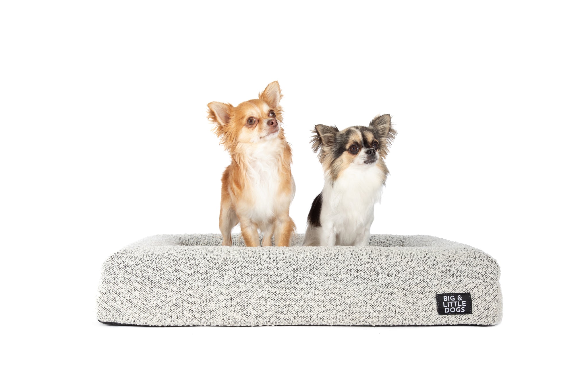 Dog Pet Bed Luxurious Boucle Cover Salt and Pepper