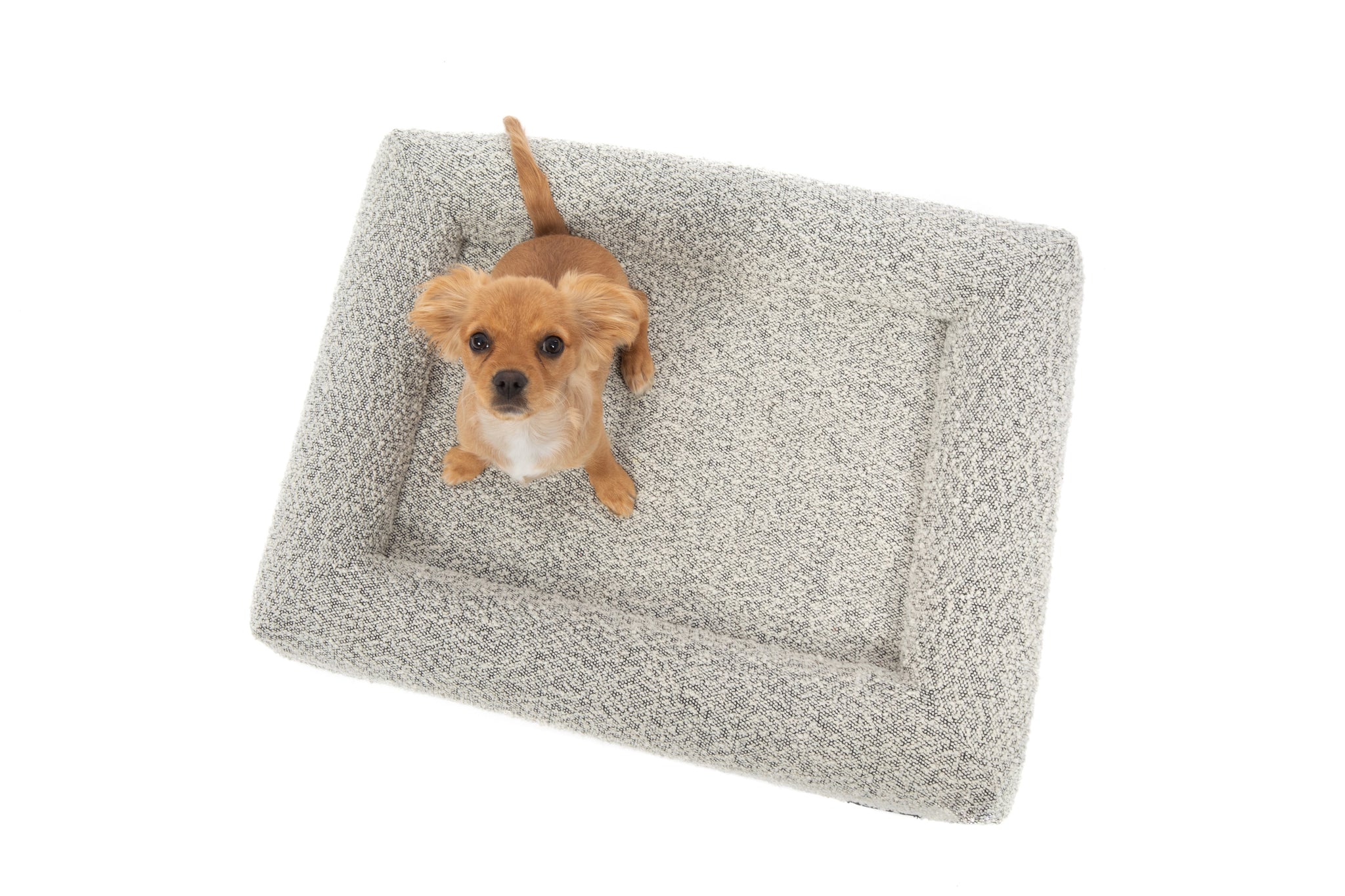 Dog Pet Bed Luxurious Boucle Cover Salt and Pepper