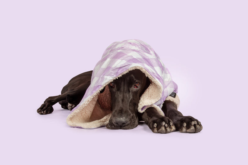 Plush Dog Pet Blanket Berry Purple Gingham