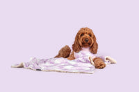 Plush Dog Pet Blanket Berry Purple Gingham