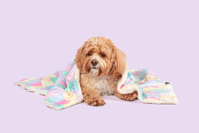 Plush Dog Pet Blanket Gelato Multicolour Pastel Block Design