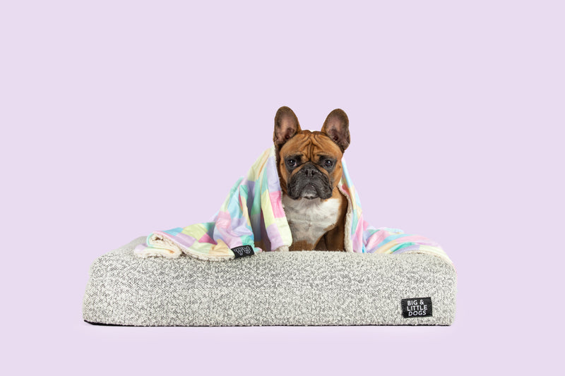 Plush Dog Pet Blanket Gelato Multicolour Pastel Block Design