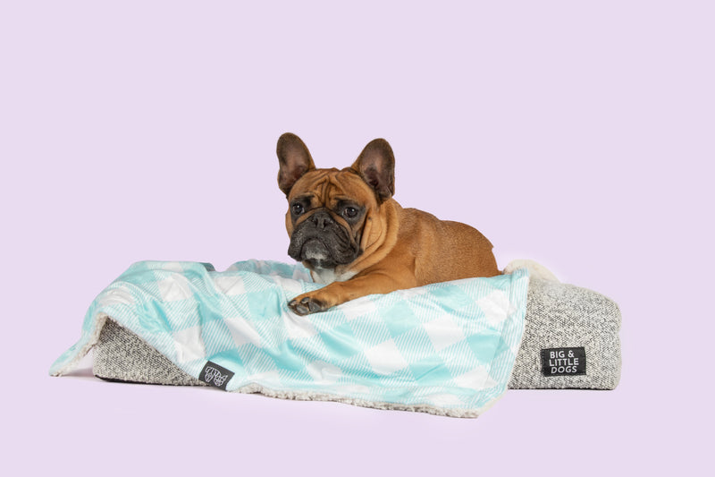 Plush Dog Pet Blanket Mint Teal Green Gingham